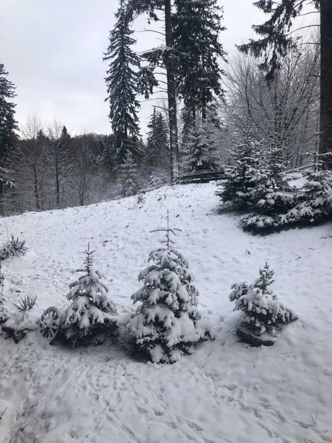 Fairytale Apartment Close To Bradu Ski Slope Brassópojána Kültér fotó
