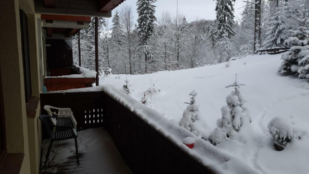 Fairytale Apartment Close To Bradu Ski Slope Brassópojána Kültér fotó